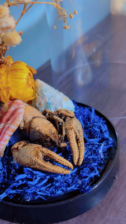Handmade crawfish dome