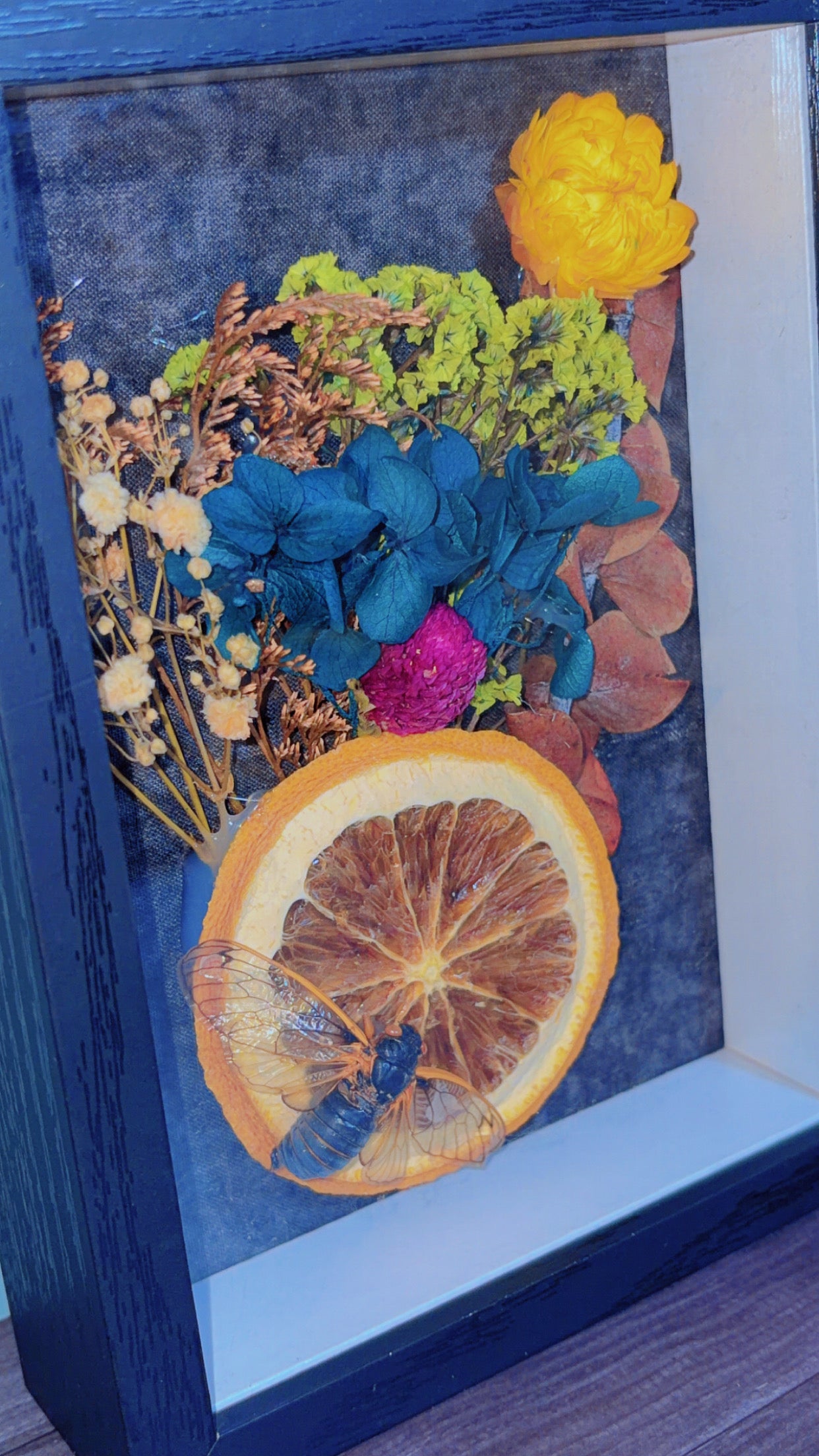Handmade framed art with a cicada specimen