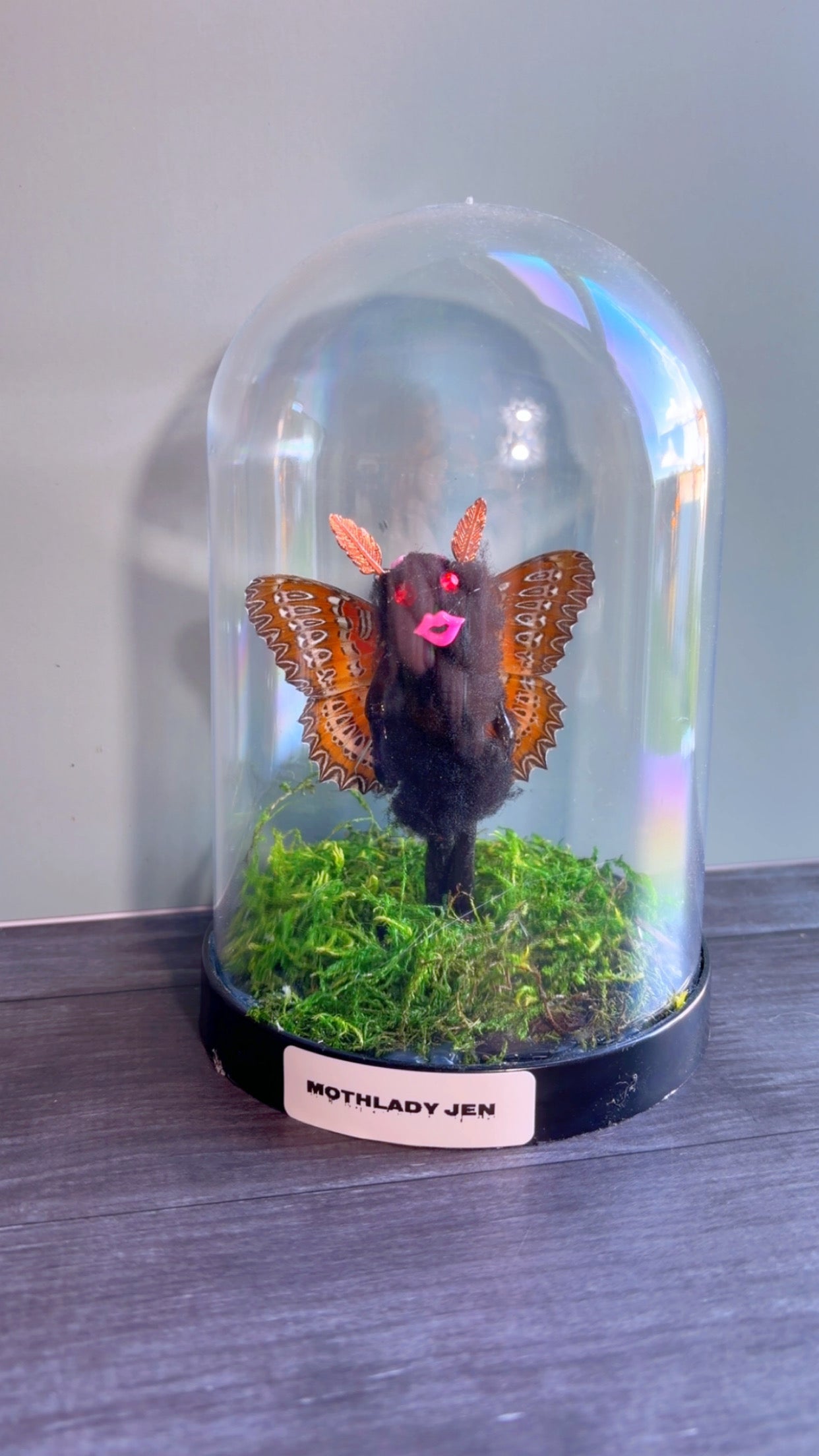 Handmade moth lady terrarium