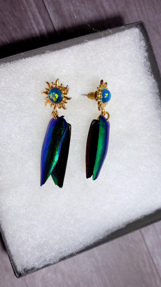 Handmade beetle wing earrings