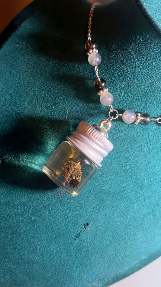 Handmade stink bug wet specimen necklace