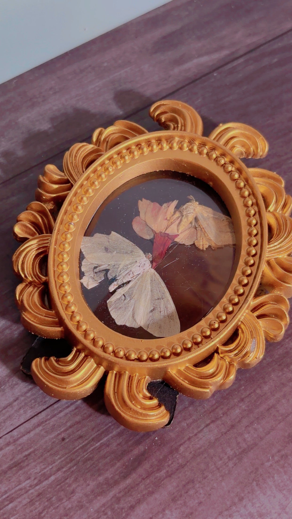 Handmade framed art with moths and a dried flower