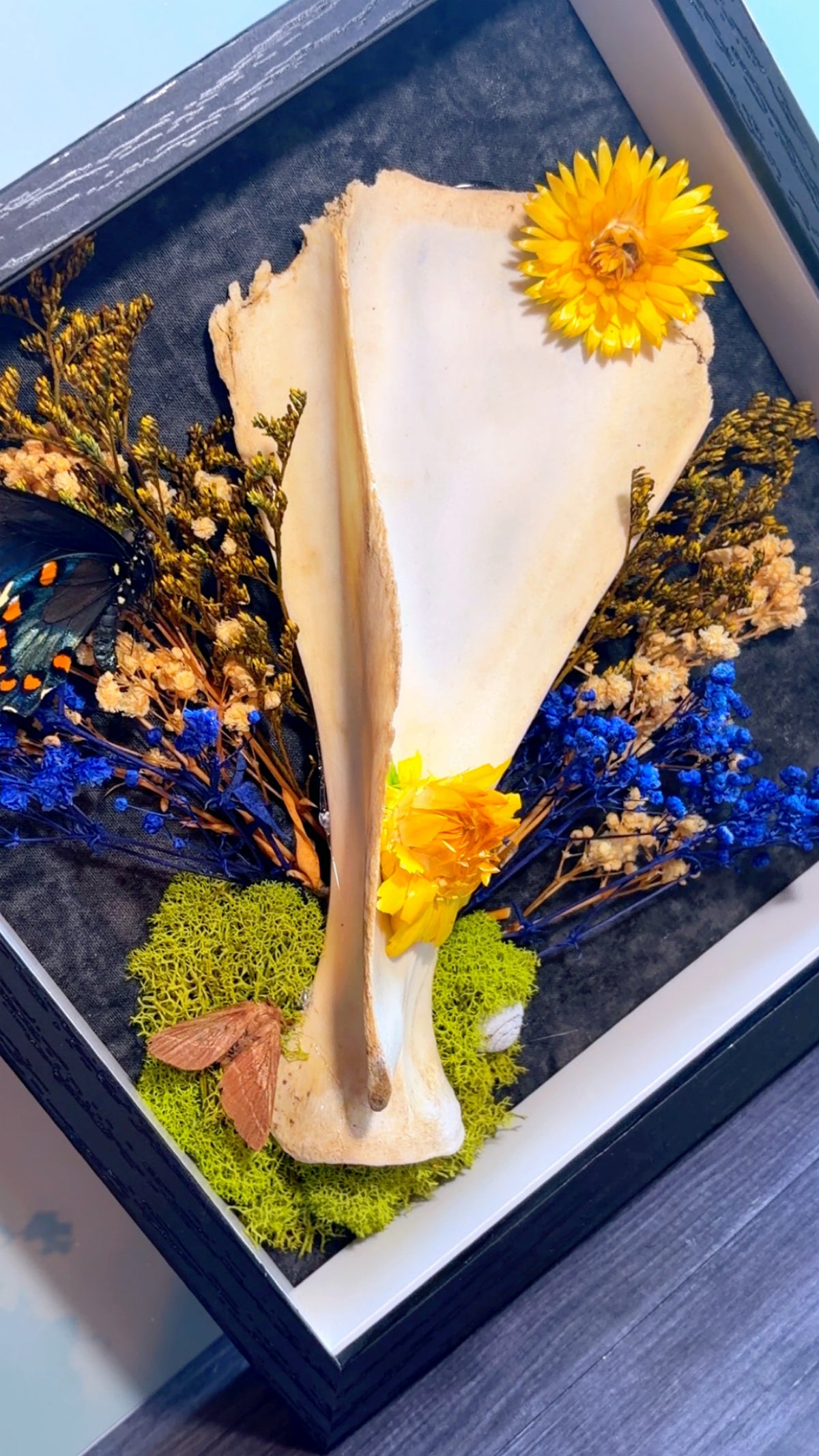 Handmade wall art piece with deer scapula bone, moth, butterfly, and dried florals