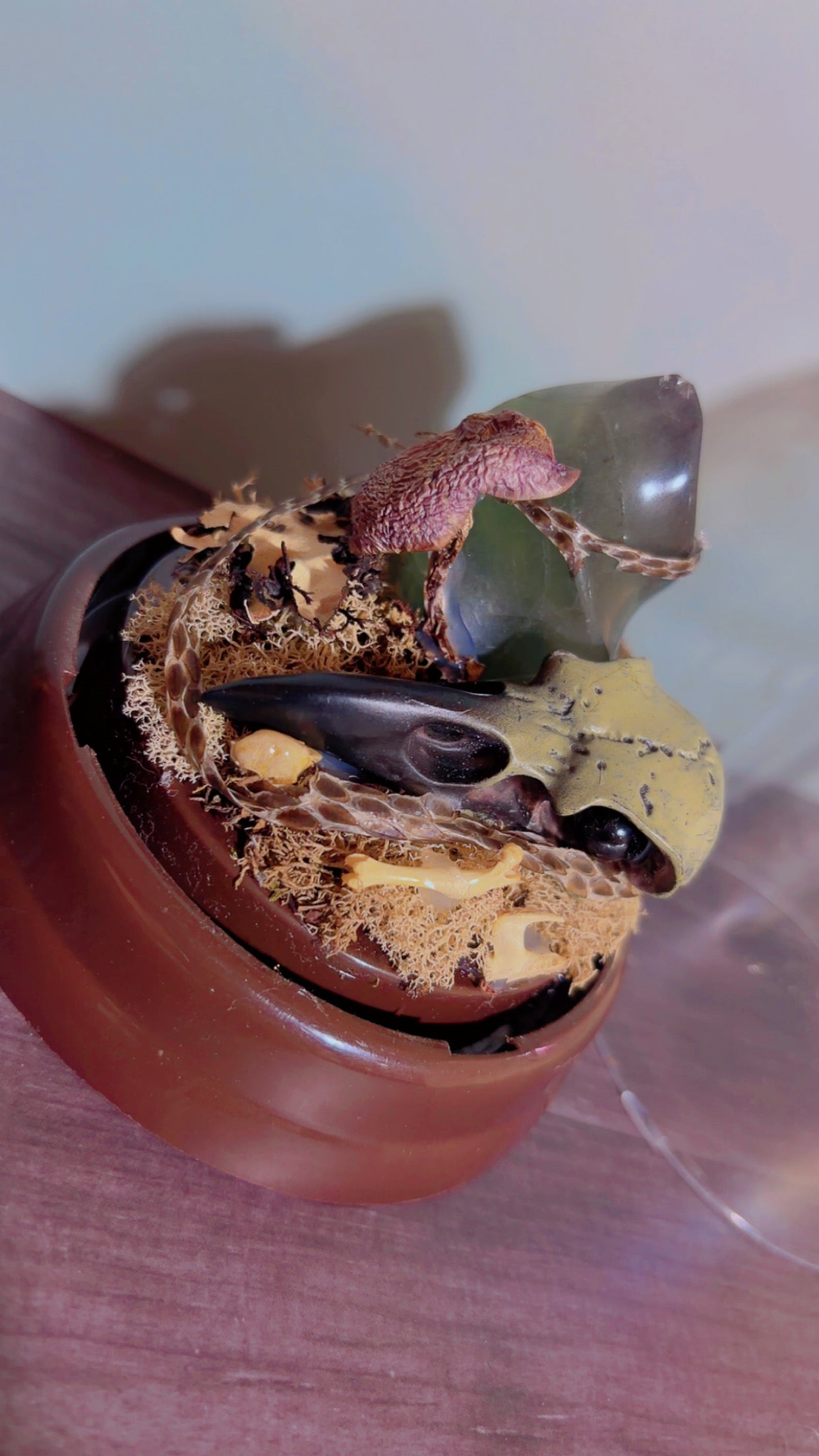 Handmade dome with faux crow skull