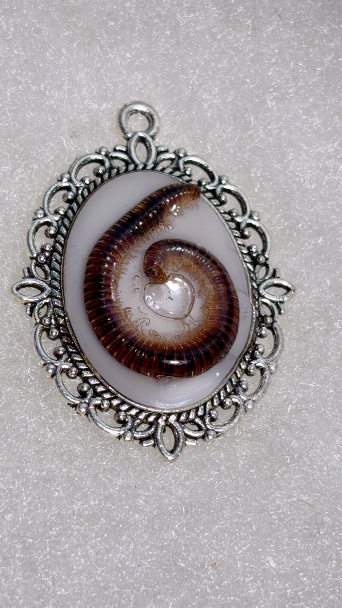 Handmade real millipede cameo pendant