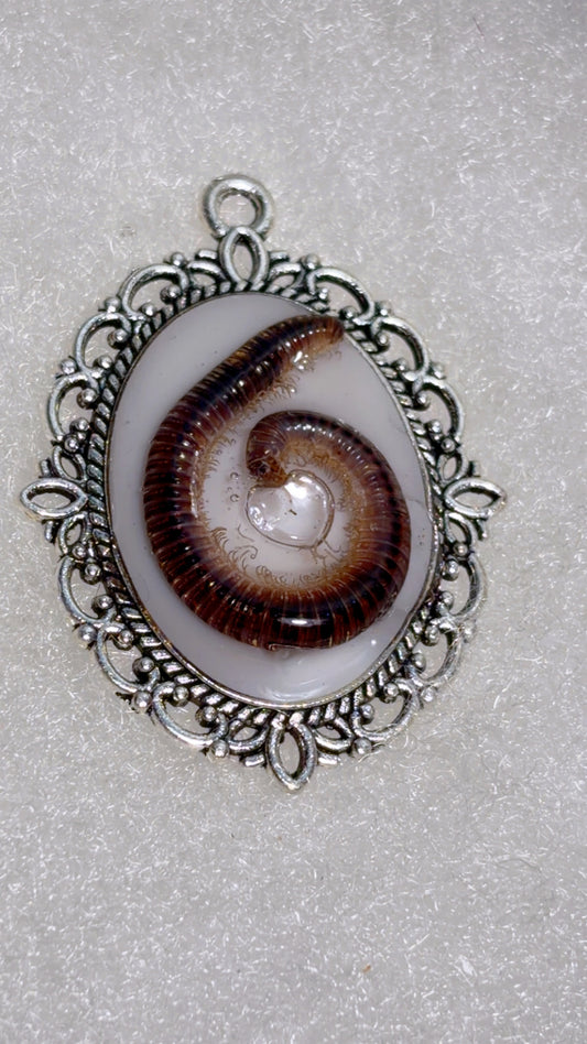 Handmade real millipede cameo pendant