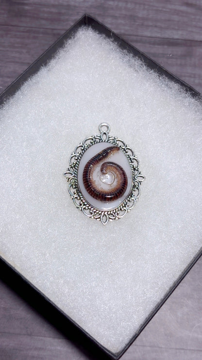 Handmade real millipede cameo pendant