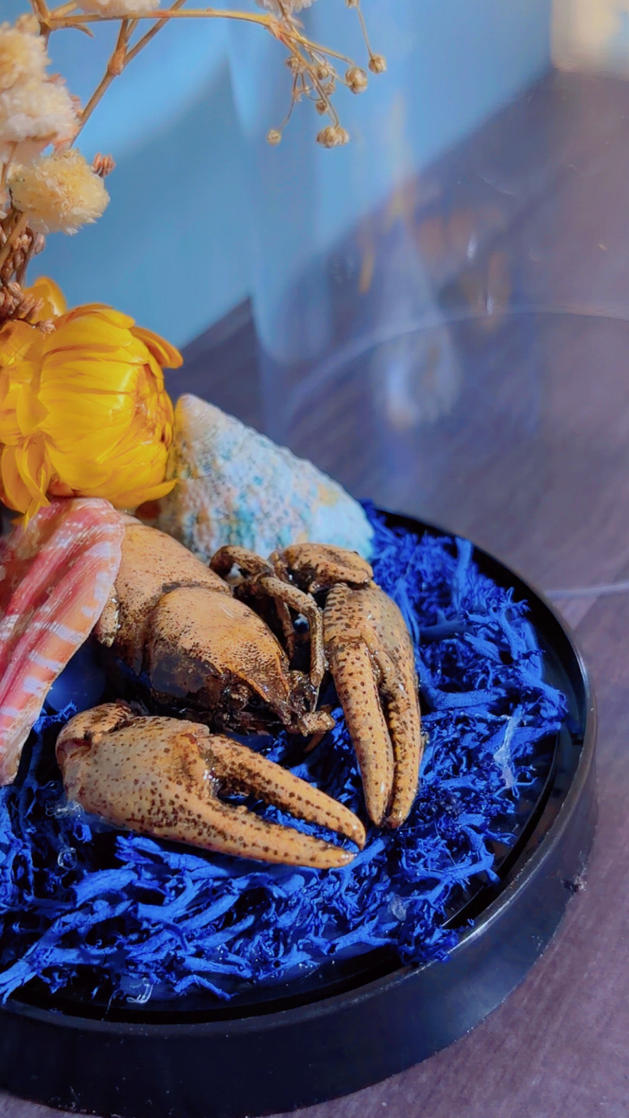 Handmade crawfish dome
