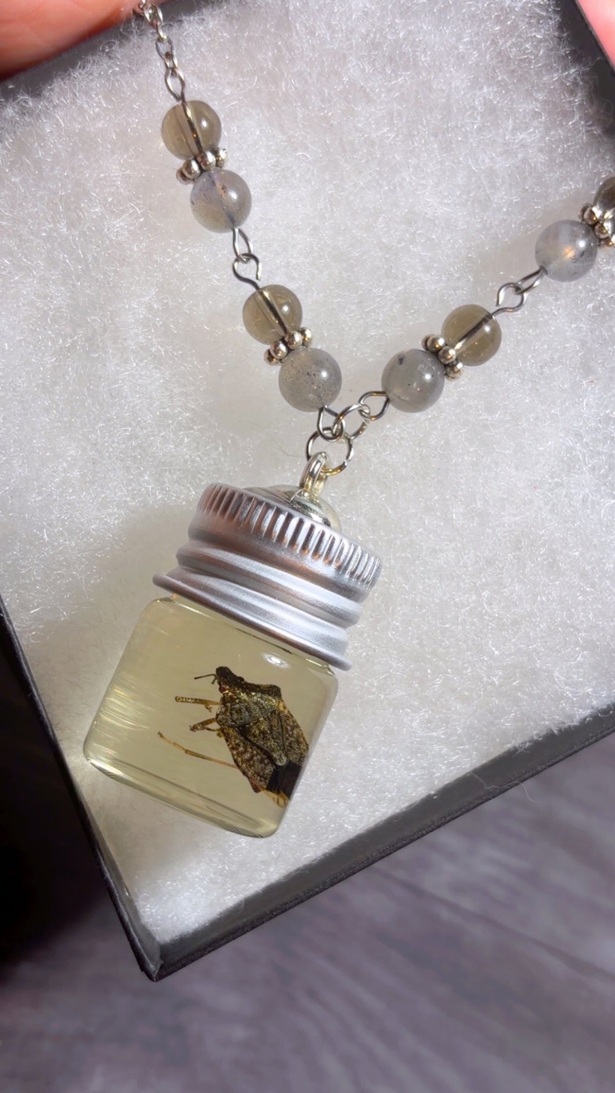Handmade stink bug wet specimen necklace