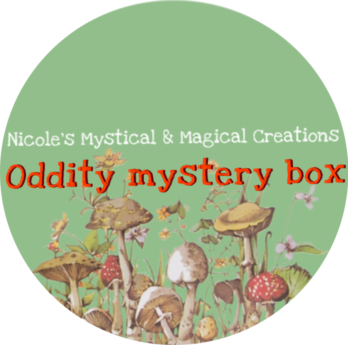 Oddity mystery box