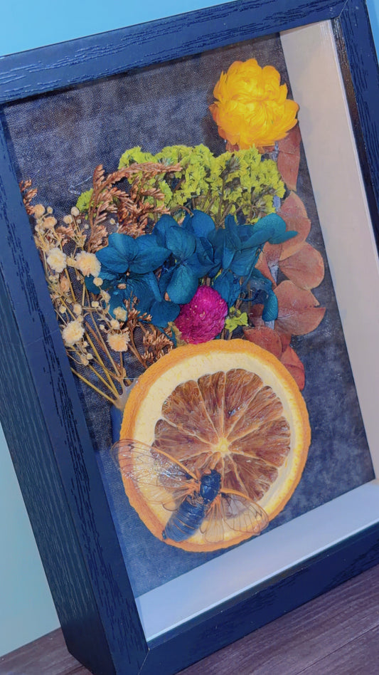 Handmade framed art with a cicada specimen