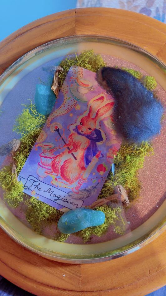 Handmade framed art with a taxidermy rabbit foot