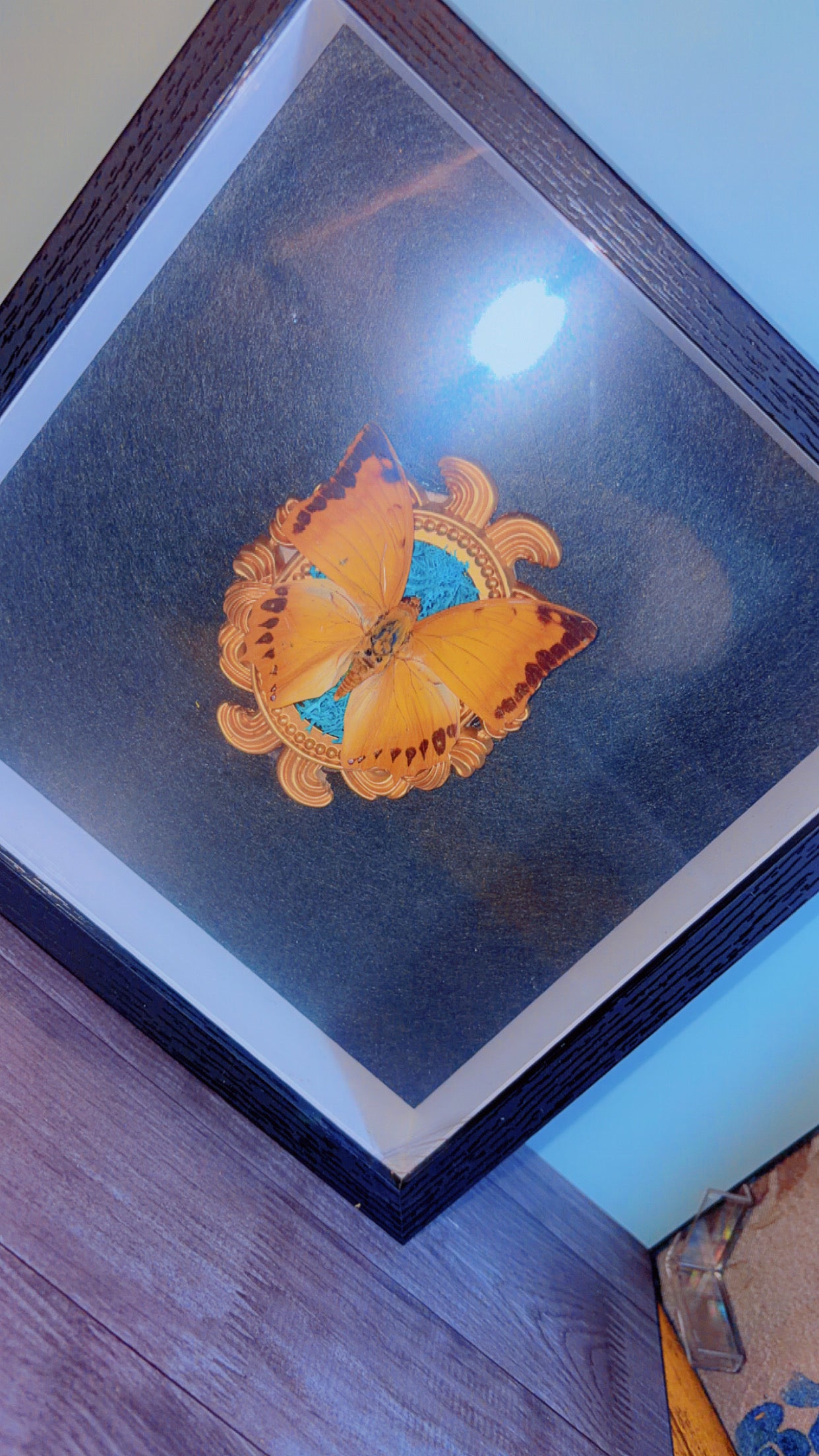 Handmade butterfly framed art
