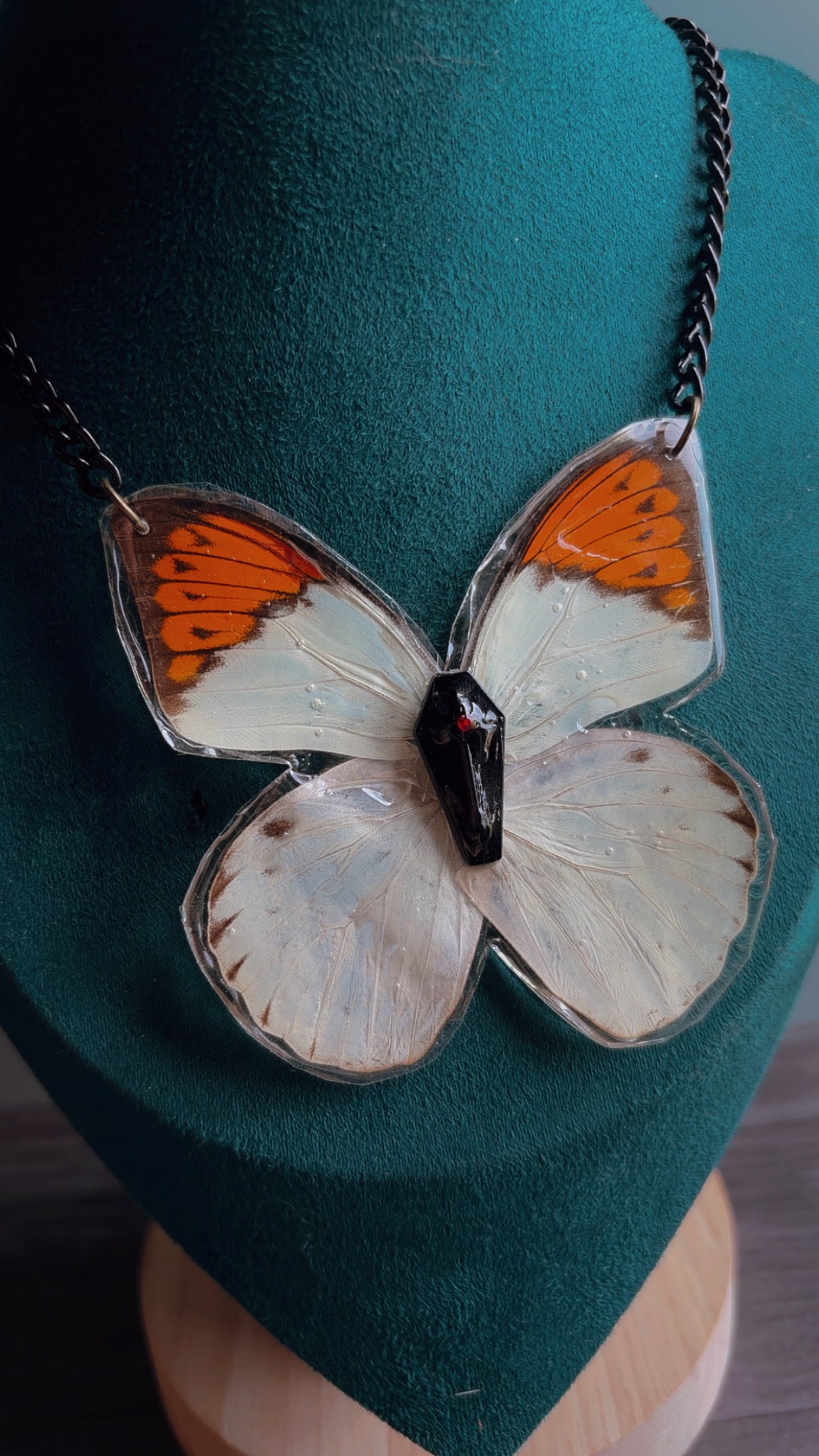 Handmade real butterfly necklace