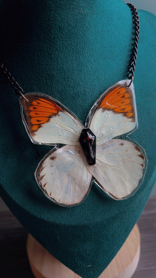 Handmade real butterfly necklace