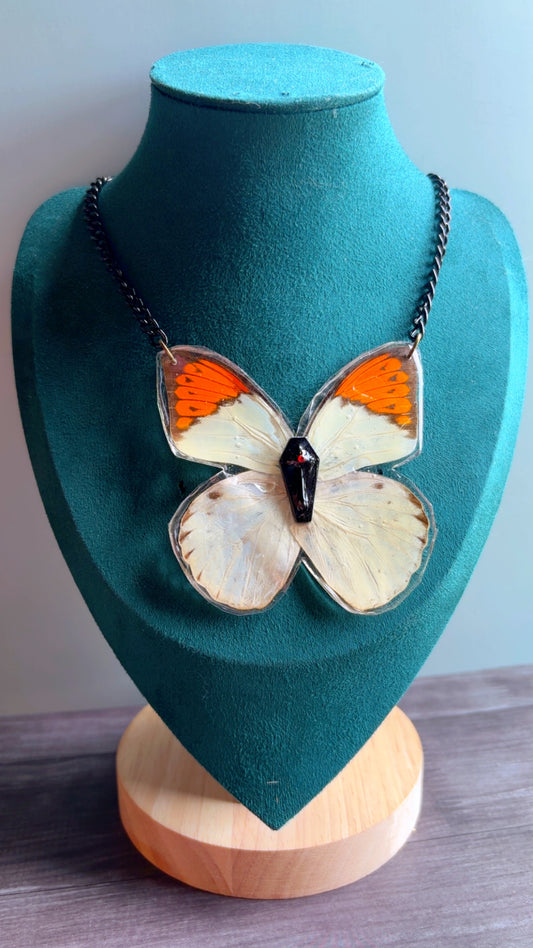 Handmade real butterfly necklace