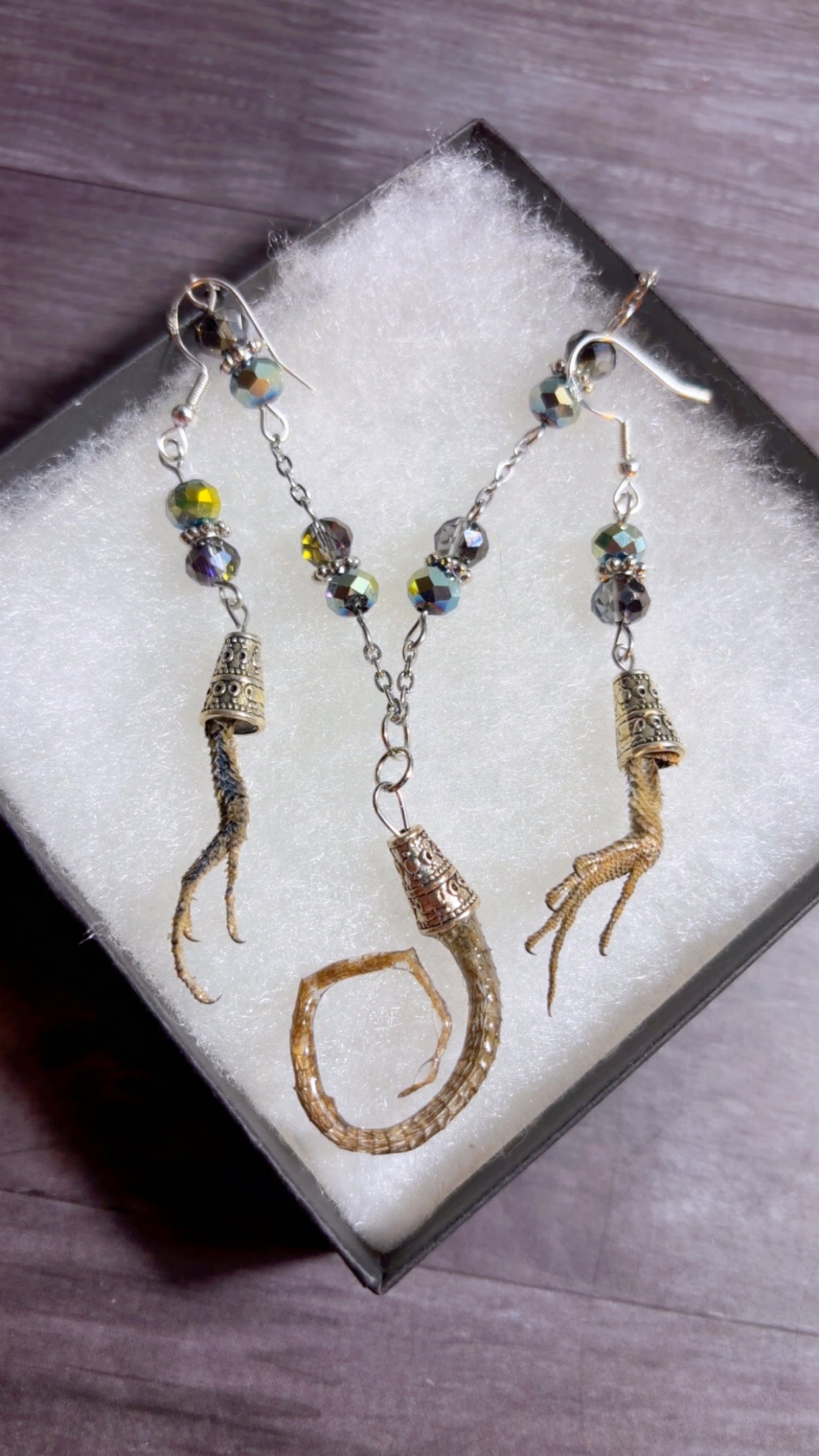 Handmade set featuring eastern fence lizard tail and feet