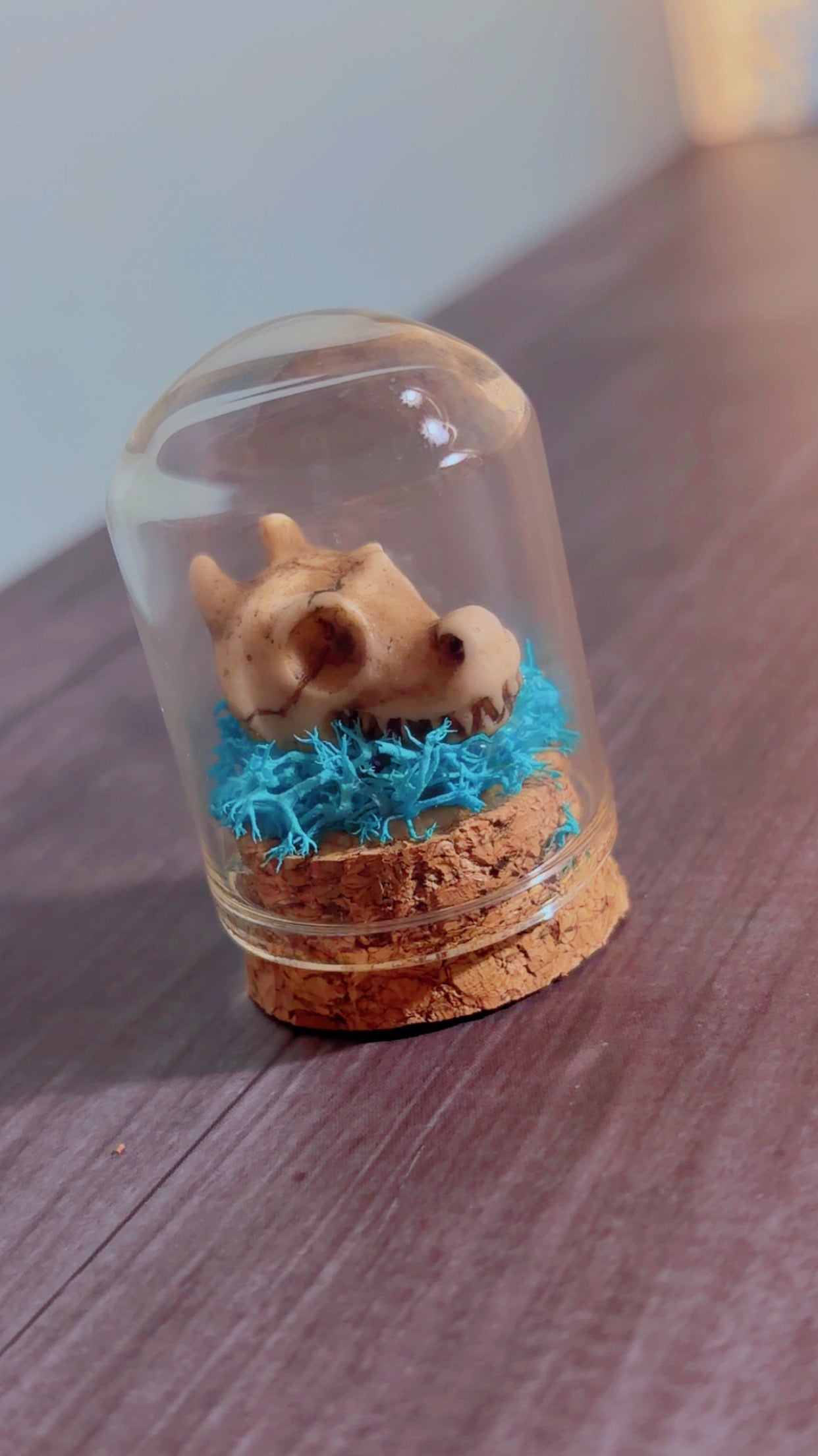 Handmade faux dragon mini dome