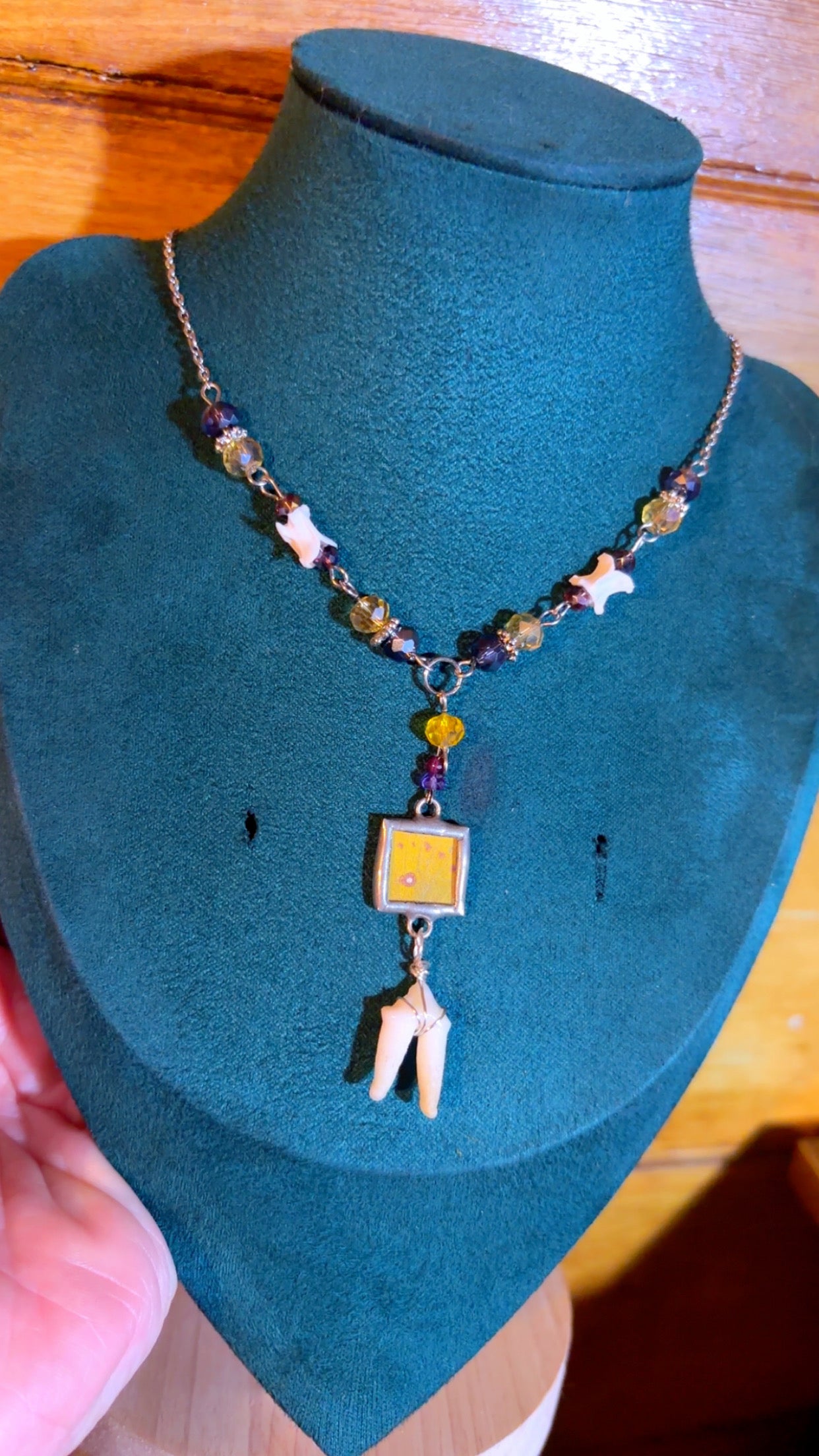 Handmade Y drop necklace with coyote tooth, snake vertebrae, and butterfly wing