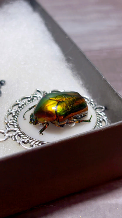 Handmade beetle cameo pendants
