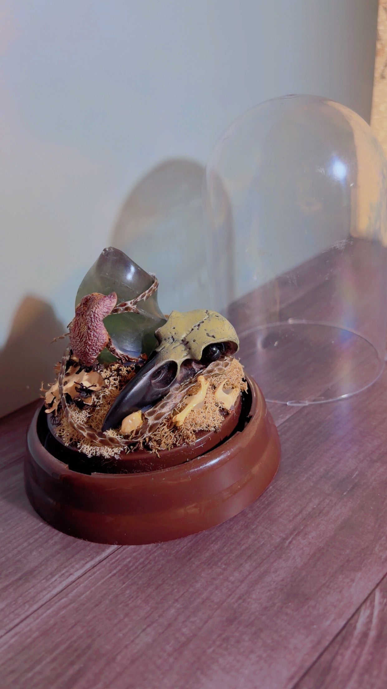 Handmade dome with faux crow skull