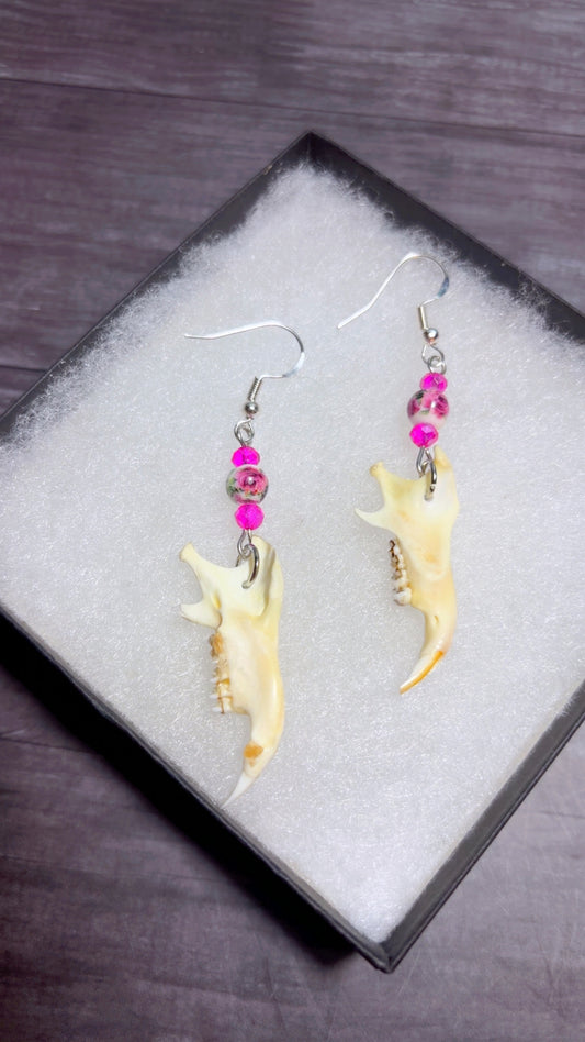 Handmade Colombian ground squirrel jawbone earrings
