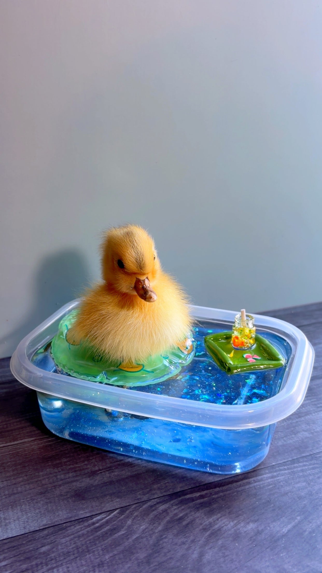 Handmade taxidermy duckling art piece