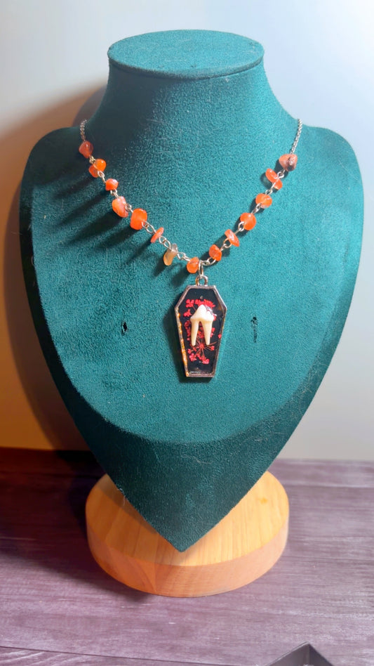 Handmade coyote tooth necklace