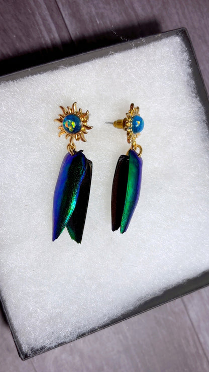 Handmade beetle wing earrings