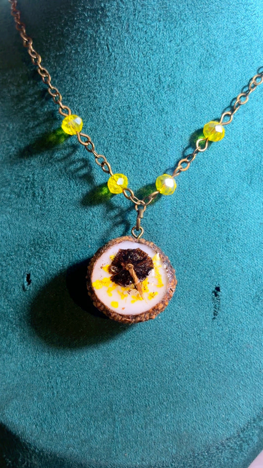 Real acorn cap & mushroom necklace