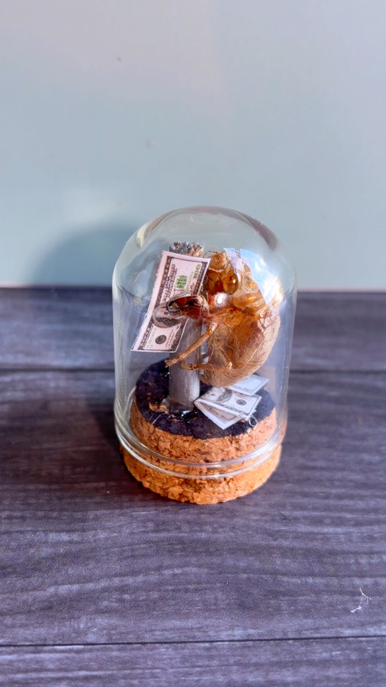 Handmade stripper bugs
