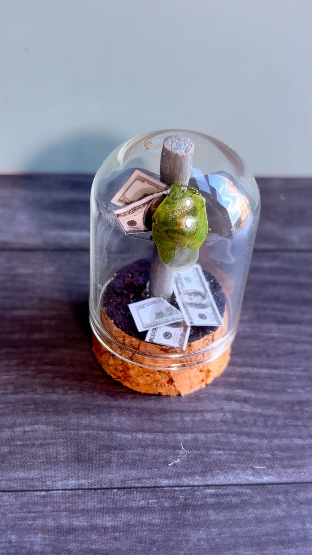 Handmade stripper bugs