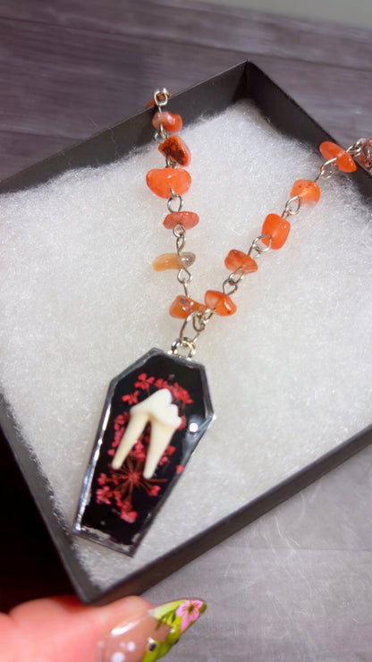 Handmade coyote tooth necklace