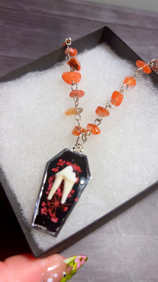 Handmade coyote tooth necklace