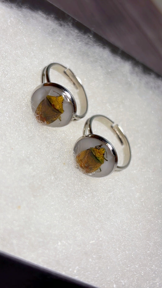 Handmade baby stink bug ring