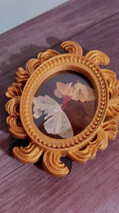 Handmade framed art with moths and a dried flower