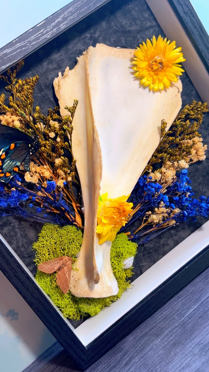 Handmade wall art piece with deer scapula bone, moth, butterfly, and dried florals