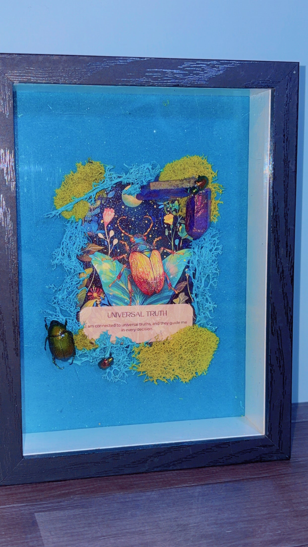 Handmade framed art with 3 beetle specimens