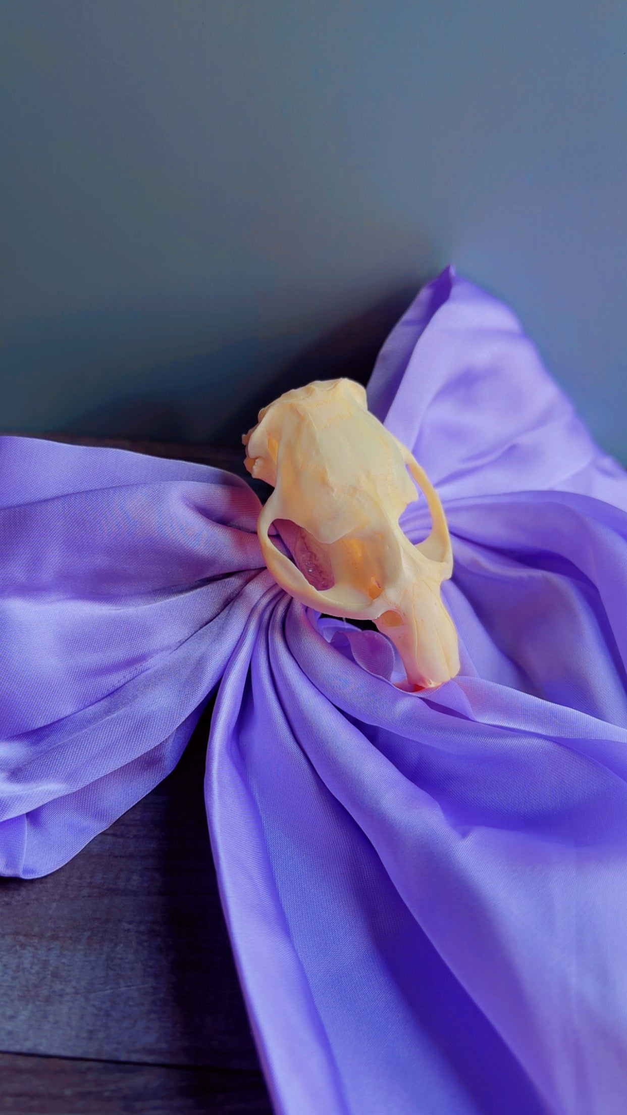 Handmade bow with muskrat skull