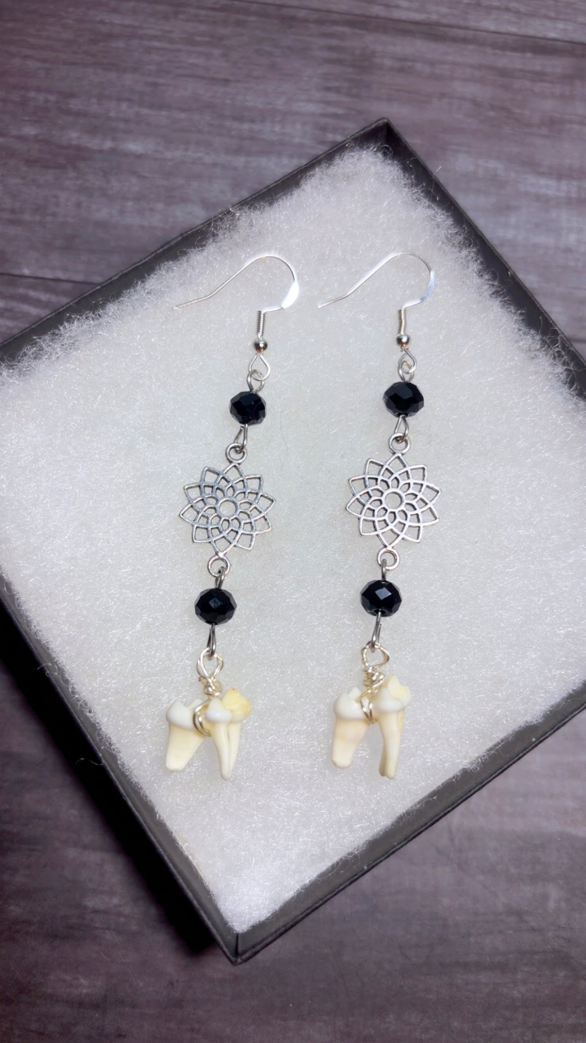 Handmade coyote tooth earrings