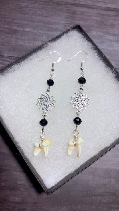 Handmade coyote tooth earrings