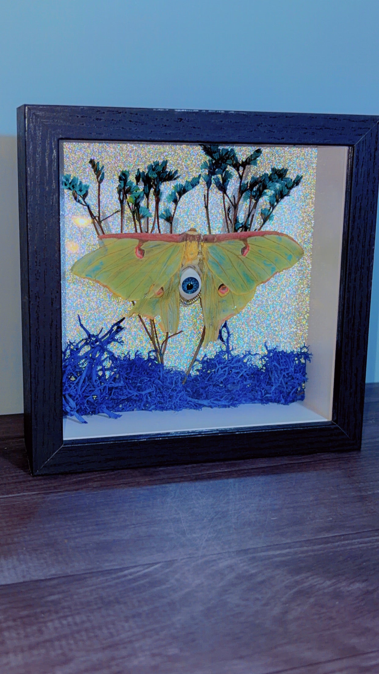 Handmade Luna moth framed art