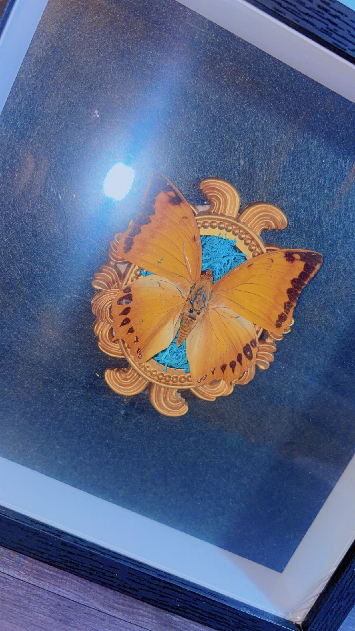 Handmade butterfly framed art