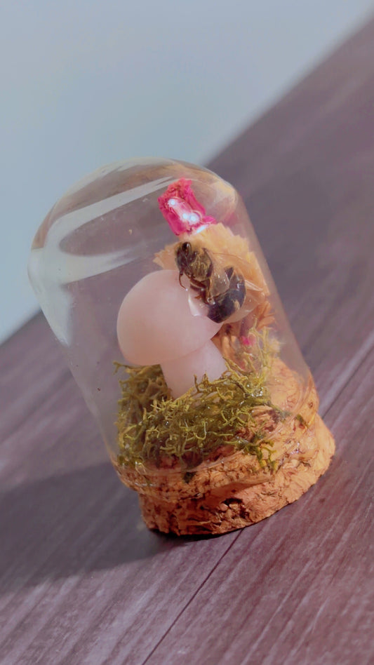Handmade tiny dome with honeybee specimen