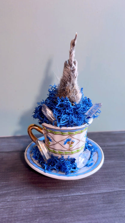 Handmade squirrel paw mini teacup decor