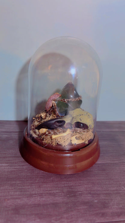 Handmade dome with faux crow skull