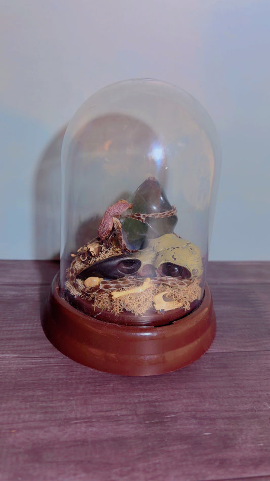 Handmade dome with faux crow skull