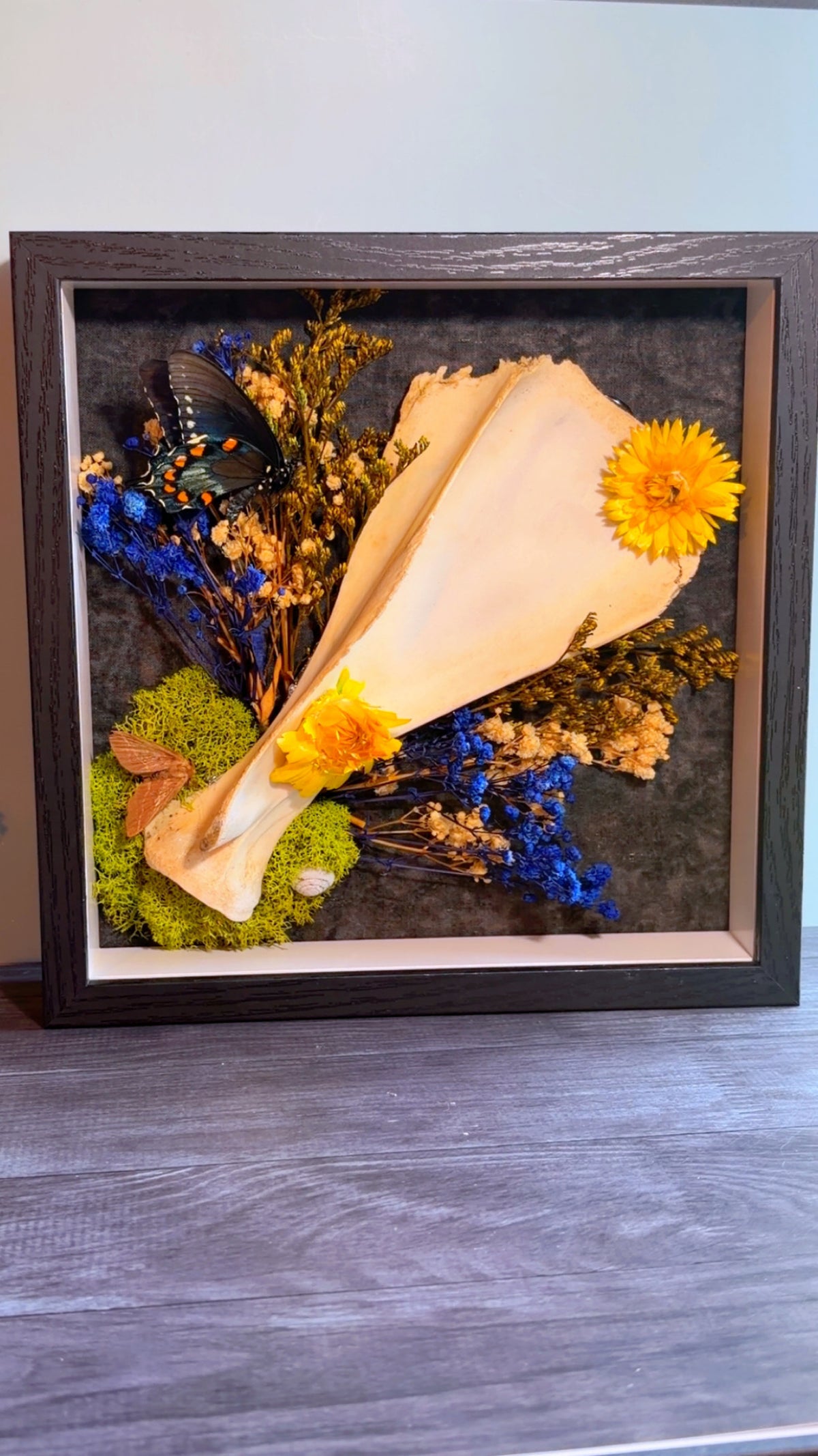 Handmade wall art piece with deer scapula bone, moth, butterfly, and dried florals