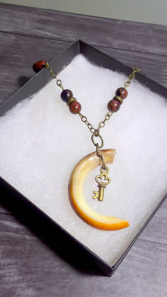 Handmade beaver tooth necklace