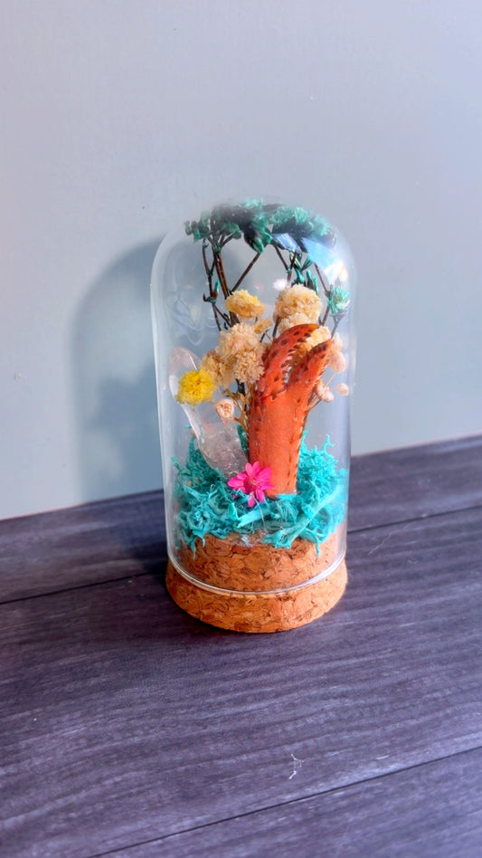 Handmade snow crab claw terrarium